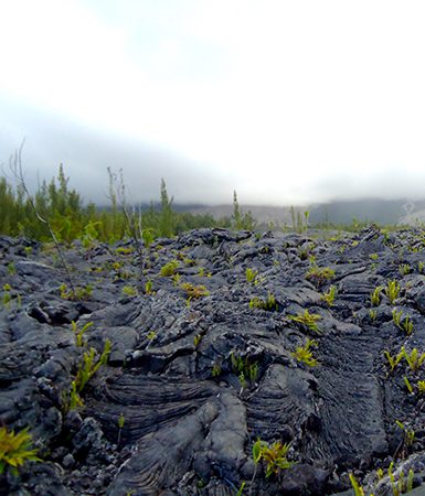 Dry black lava on RN2 | World Travel Magazine Dry black lava on RN2