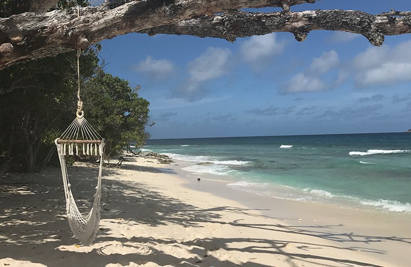 Hammock in a nice shady spot | World Travel Magazine Hammock in a nice shady spot