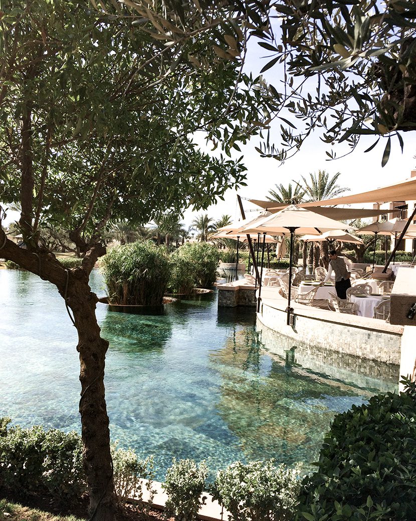 Pool at Domaine Royal Palm, Marrakech | World Travel Magazine Pool at Domaine Royal Palm, Marrakech