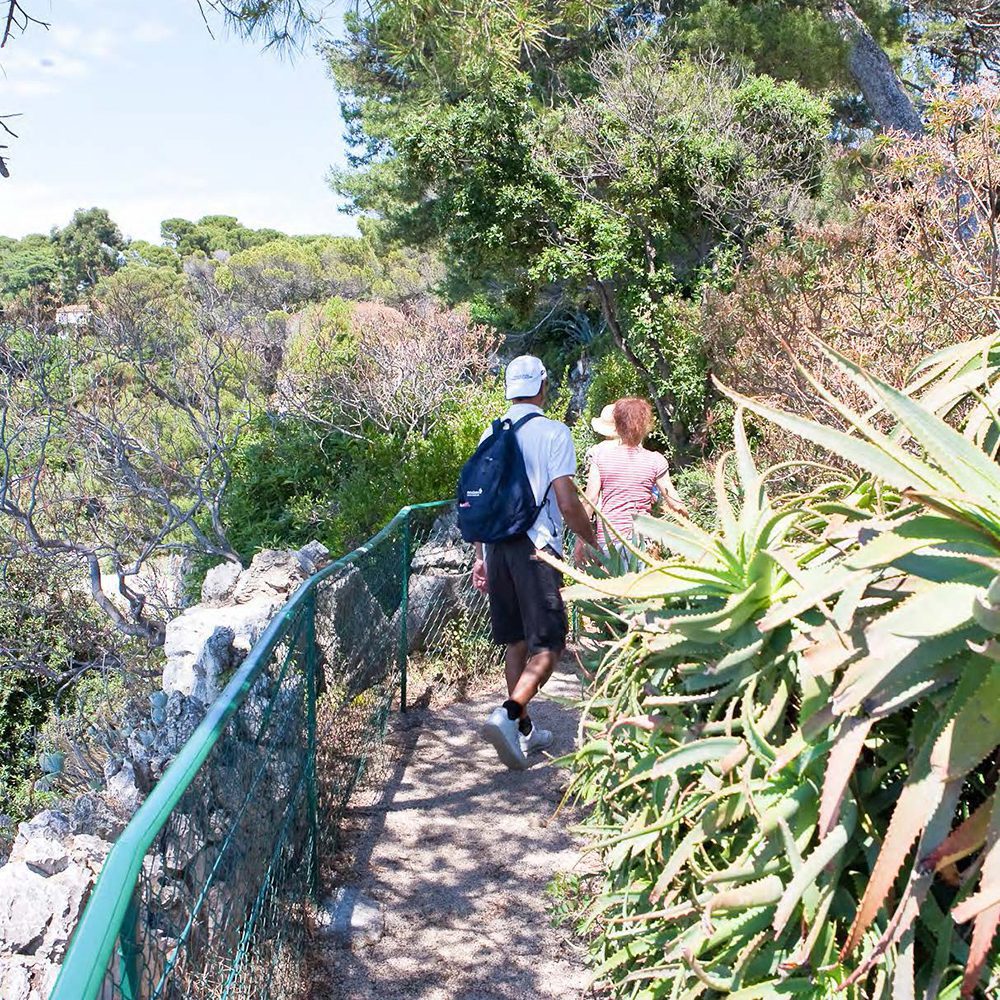 Sentier de Tire-Poil on the Cap d’Antibes | World Travel Magazine Sentier de Tire-Poil on the Cap d’Antibes