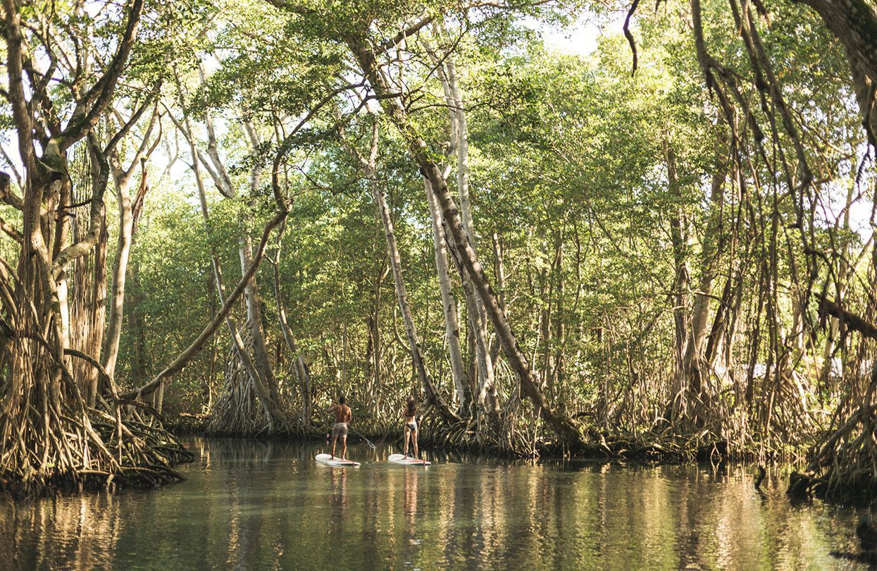 Amanera, Dominican Republic - Laguna Gri Gri, Stand Up Paddle Board | World Travel Magazine