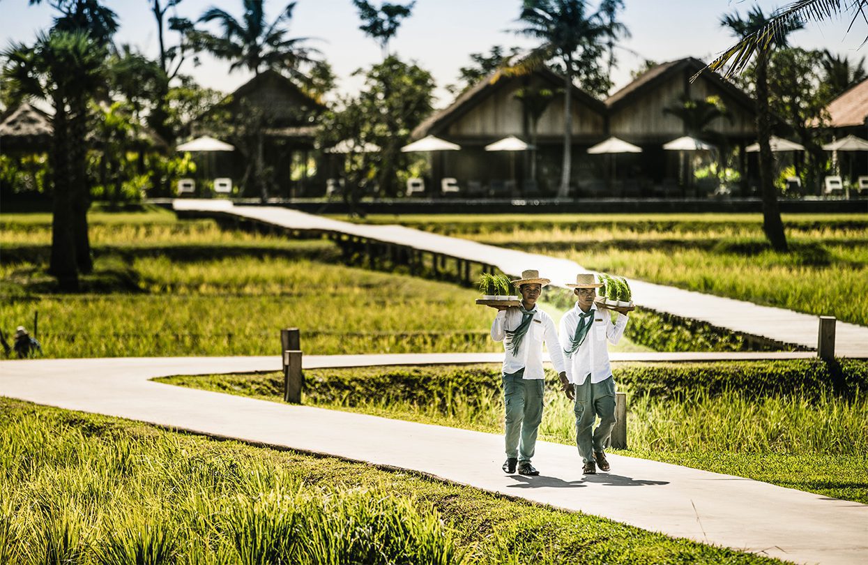 Phum Baitang - Garden & Grounds © Zannier Hotels | World Travel Magazine Phum Baitang - Garden & Grounds © Zannier Hotels