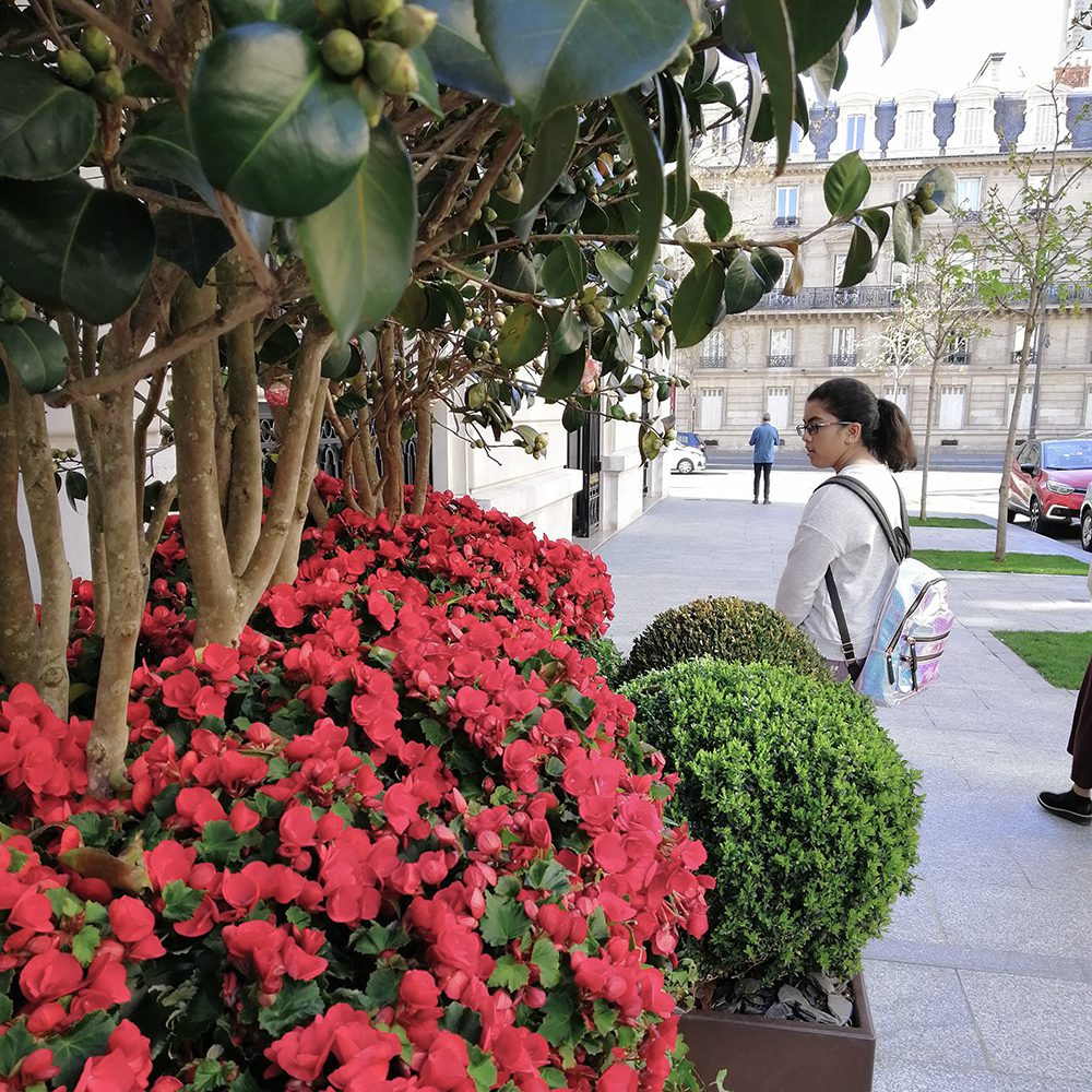 Paris is always in bloom, outside the Peninsula | World Travel Magazine Paris is always in bloom, outside the Peninsula