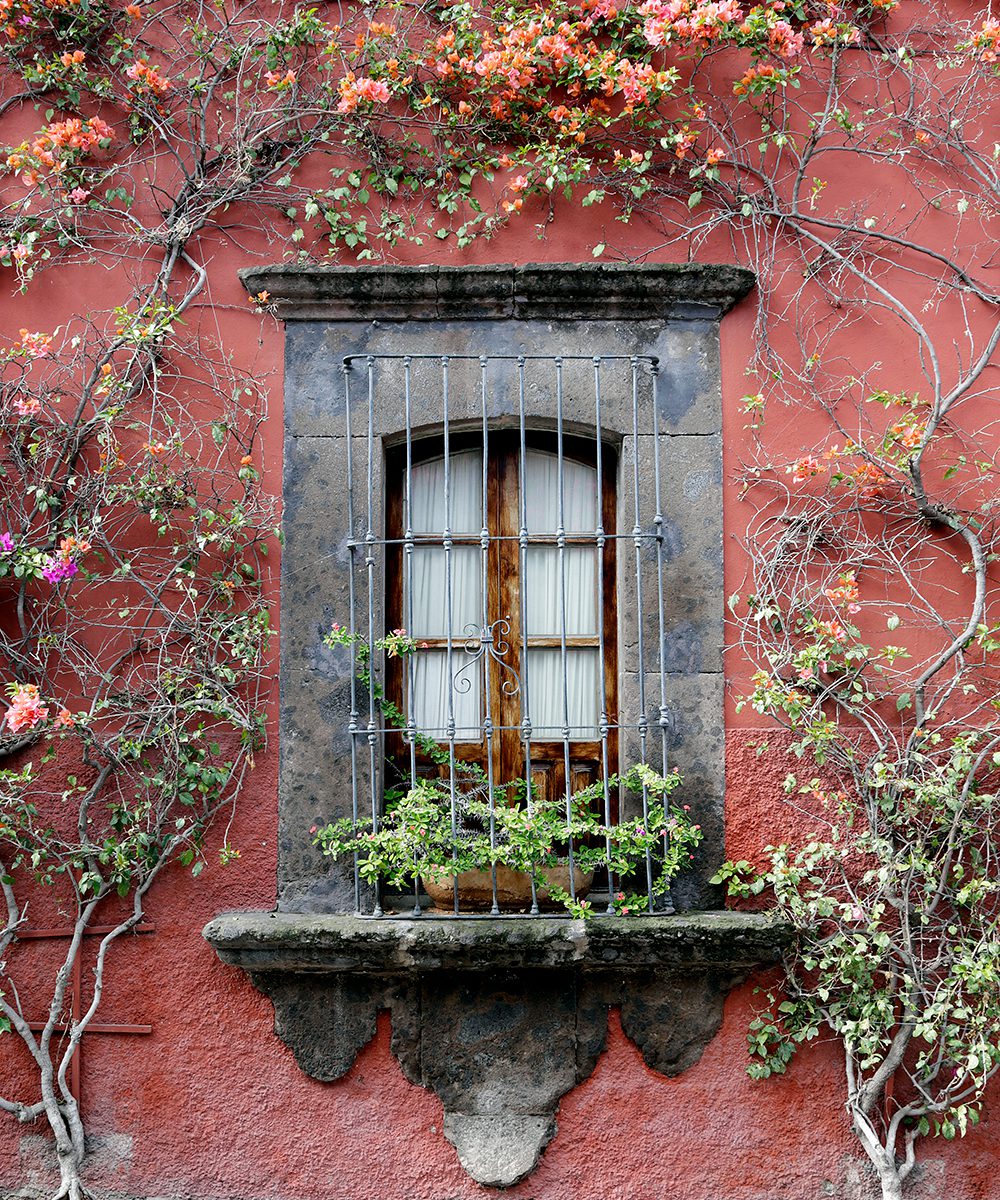Bouganvillea-covered residential facade in the historic town centre | World Travel Magazine Bouganvillea-covered residential facade in the historic town centre