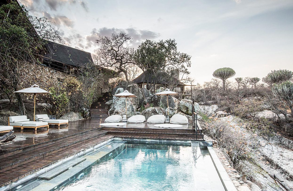 Spot wildlife from the Mwiba Lodge pool, Image by Scott Ramsay | World Travel Magazine Spot wildlife from the Mwiba Lodge pool, Image by Scott Ramsay