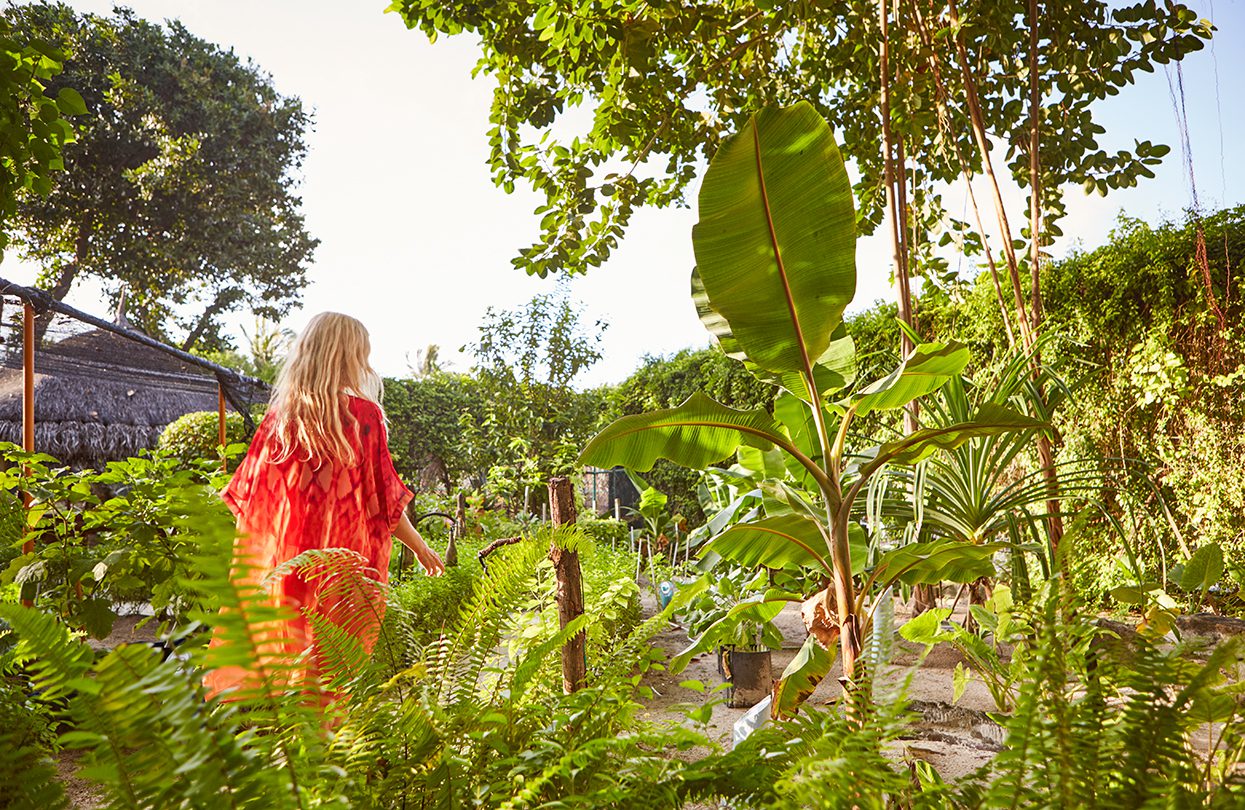 Lux_ South Ari Atoll Herb Garden | World Travel Magazine Lux_ South Ari Atoll Herb Garden