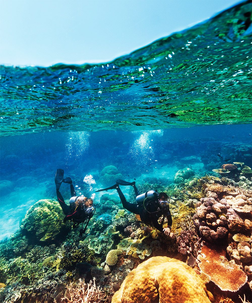 The aquatic jewels of Agincourt Reef, Tropical North Queensland, photo by Tourism & Events Queensland | World Travel Magazine The aquatic jewels of Agincourt Reef, Tropical North Queensland, photo by Tourism & Events Queensland