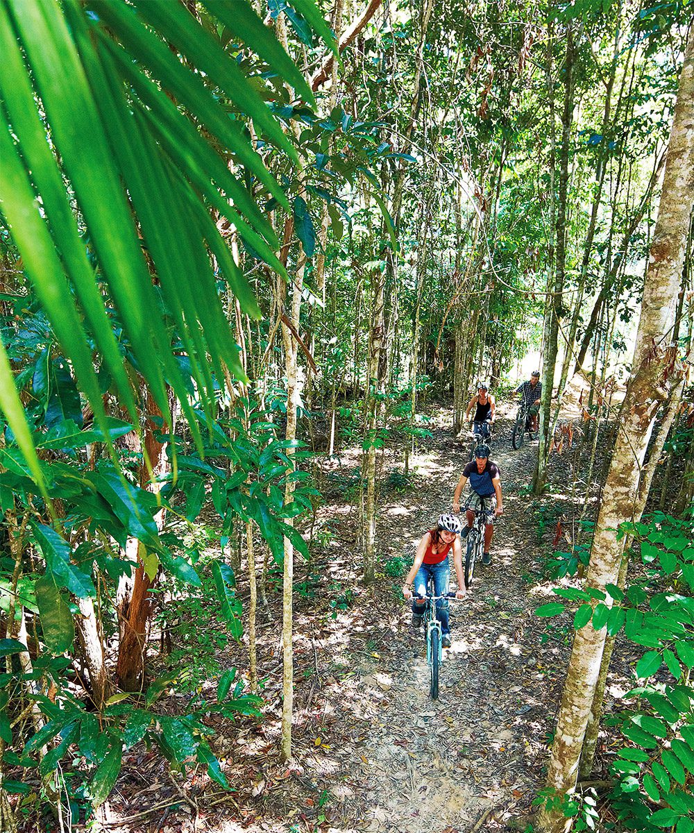 Cycling in the forests around Kuranda, photo by Tourism and Events Queensland | World Travel Magazine Cycling in the forests, photo by Tourism and Events Queensland