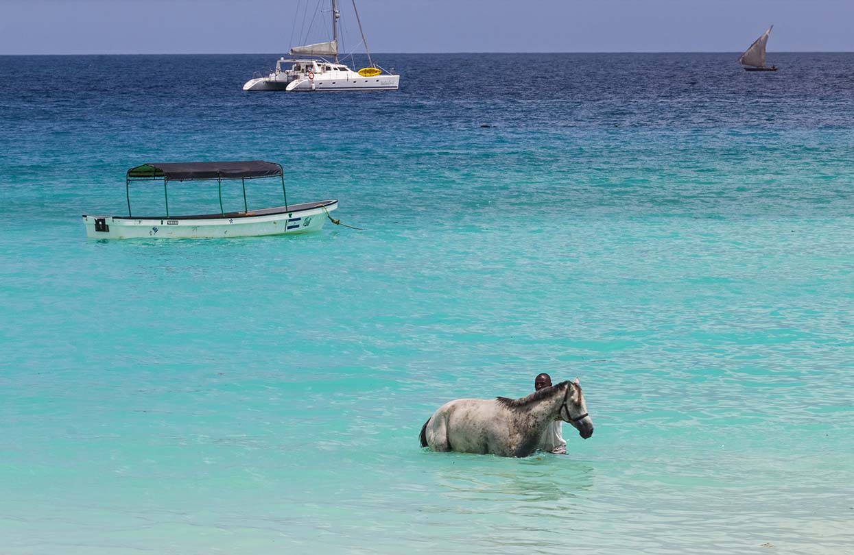 Swimming with horses in Nungwi Zanzibar, image by Belozerova Daria, shutterstock | World Travel Magazine Swimming with horses in Nungwi Zanzibar, image by Belozerova Daria, shutterstock