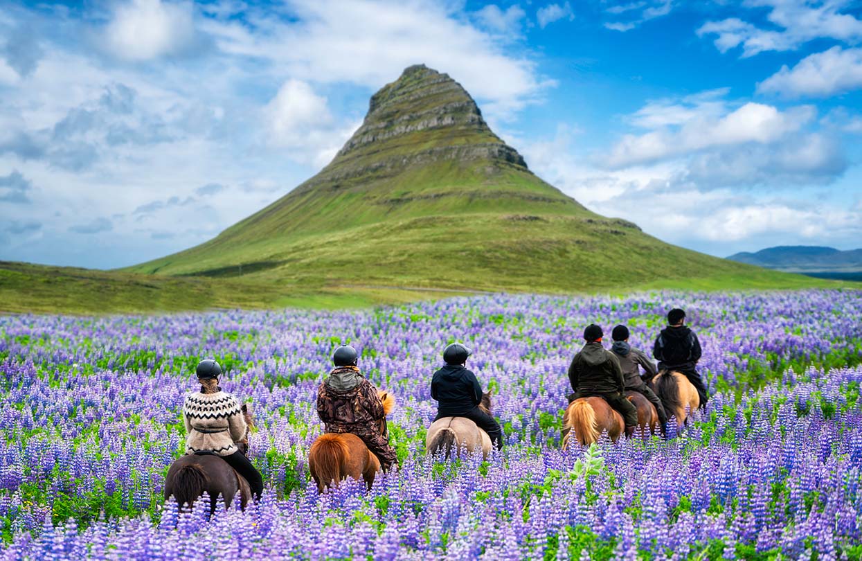 Horse back riding at Kirkjufell Mountain, Image by Summit Art Creations, Shutterstock | World Travel Magazine Horse back riding at Kirkjufell Mountain, Image by Summit Art Creations, Shutterstock
