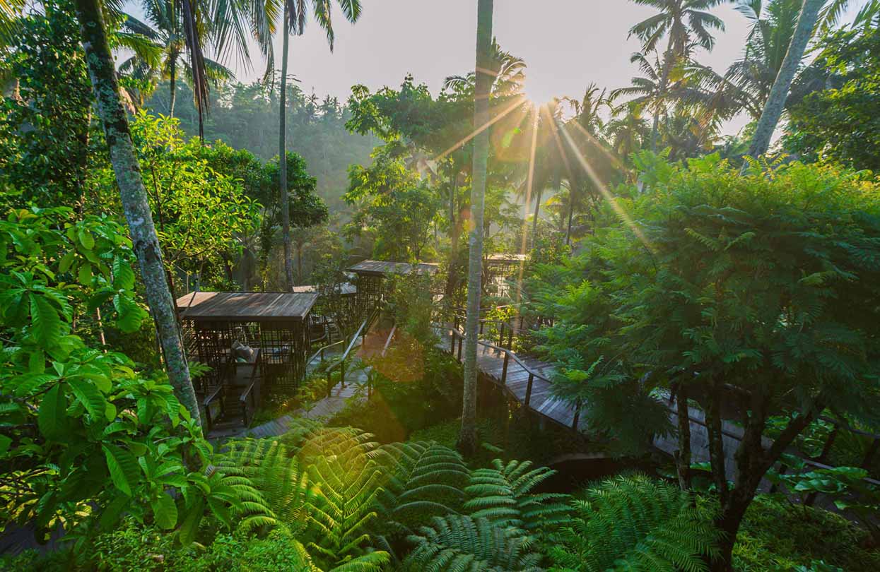 Where to Stay in Bali: The Luxurious HOSHINOYA Bali in Ubud | World Travel Magazine Where to Stay in Bali: The Luxurious HOSHINOYA Bali in Ubud