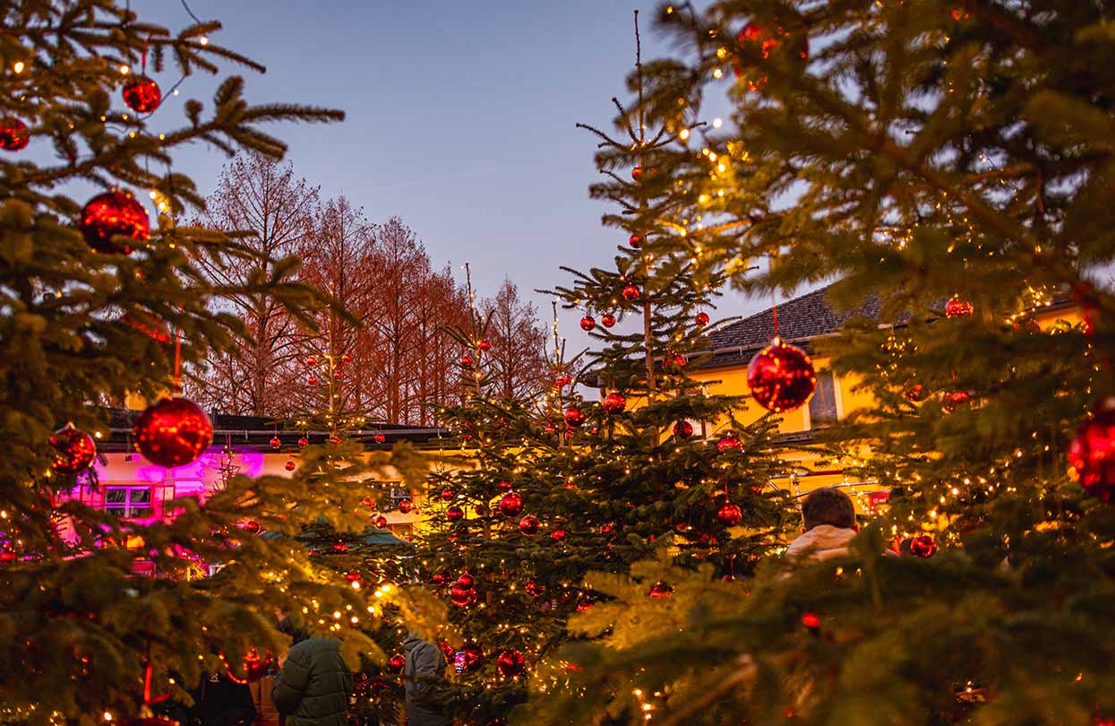 Schloss Hellbrunn Advent Salzburg, Image by Simon Reisinger, shutterstock | World Travel Magazine Schloss Hellbrunn Advent Salzburg, Image by Simon Reisinger, shutterstock